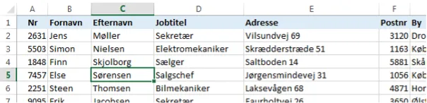 Sorter dine lister I Excel. Overblik over rækker og kolonner i Excel. 