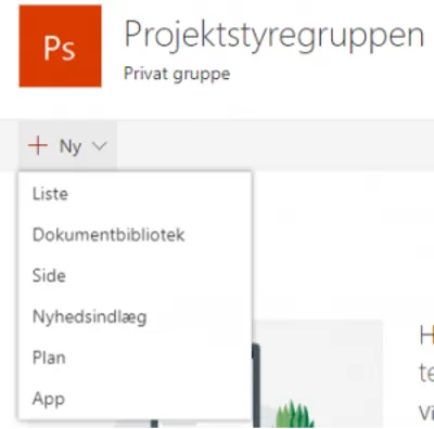 Menuoversigten i projektstyregruppen i forbindelse.